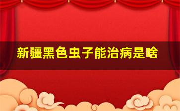 新疆黑色虫子能治病是啥