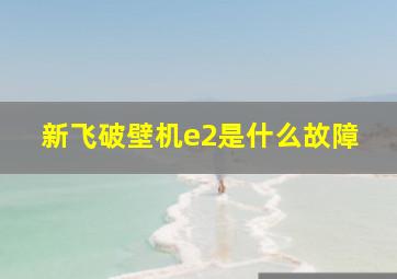 新飞破壁机e2是什么故障