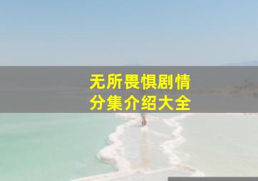 无所畏惧剧情分集介绍大全