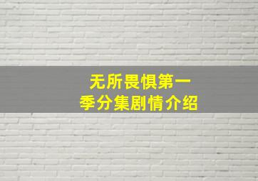 无所畏惧第一季分集剧情介绍