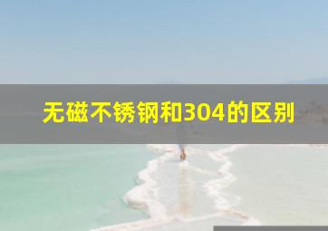 无磁不锈钢和304的区别