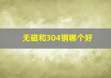 无磁和304钢哪个好