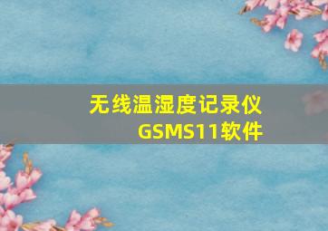 无线温湿度记录仪GSMS11软件