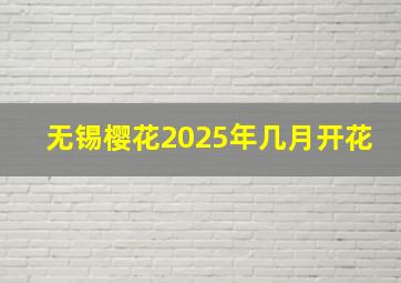 无锡樱花2025年几月开花