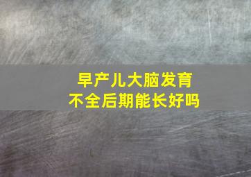 早产儿大脑发育不全后期能长好吗