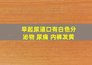 早起尿道口有白色分泌物 尿痛 内裤发黄