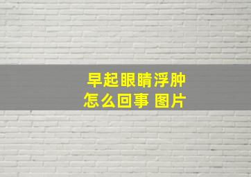 早起眼睛浮肿怎么回事 图片