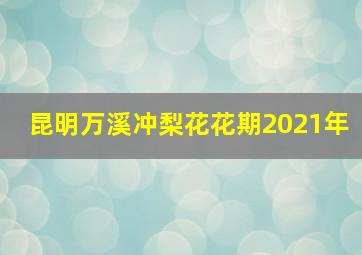 昆明万溪冲梨花花期2021年