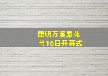 昆明万溪梨花节16日开幕式