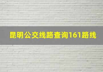 昆明公交线路查询161路线