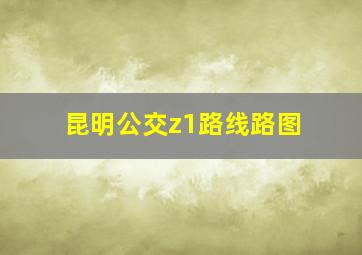 昆明公交z1路线路图