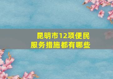 昆明市12项便民服务措施都有哪些