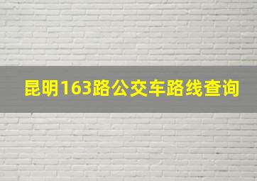 昆明163路公交车路线查询