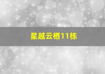 星越云栖11栋