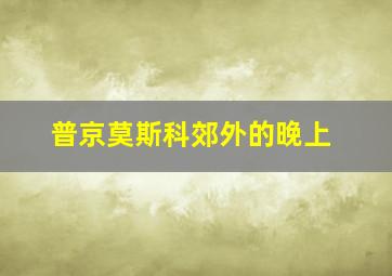 普京莫斯科郊外的晚上