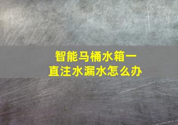 智能马桶水箱一直注水漏水怎么办