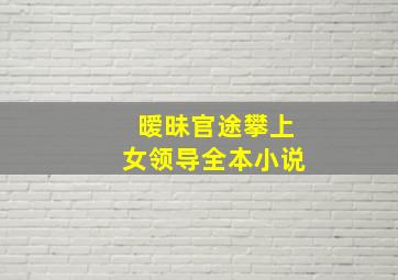 暧昧官途攀上女领导全本小说