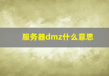 服务器dmz什么意思