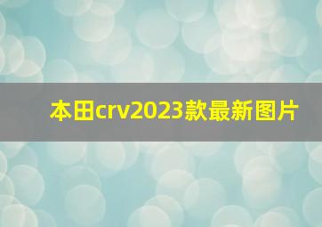 本田crv2023款最新图片