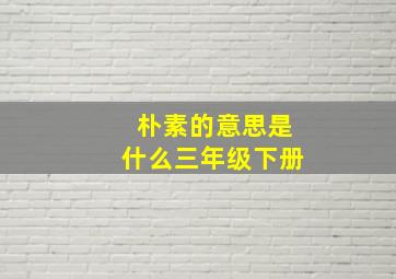 朴素的意思是什么三年级下册