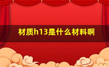 材质h13是什么材料啊