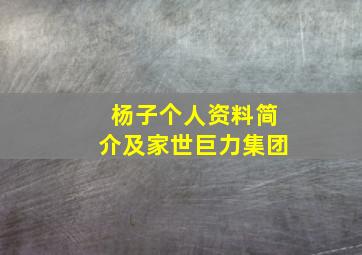 杨子个人资料简介及家世巨力集团