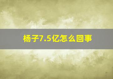 杨子7.5亿怎么回事