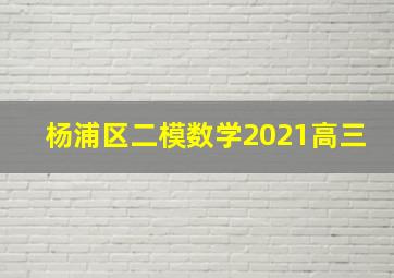 杨浦区二模数学2021高三