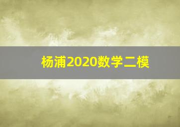 杨浦2020数学二模