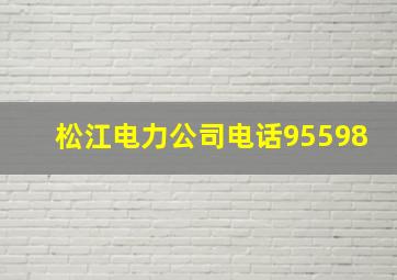 松江电力公司电话95598