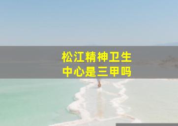 松江精神卫生中心是三甲吗