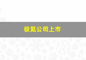 极氪公司上市