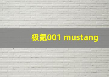 极氪001 mustang