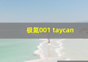 极氪001 taycan