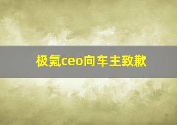 极氪ceo向车主致歉