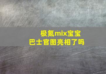 极氪mix宝宝巴士官图亮相了吗