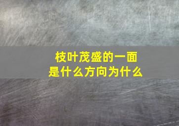 枝叶茂盛的一面是什么方向为什么