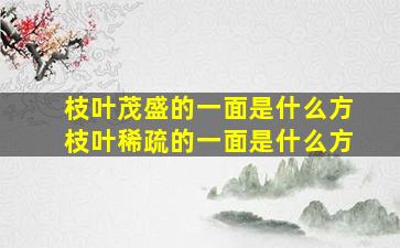 枝叶茂盛的一面是什么方枝叶稀疏的一面是什么方