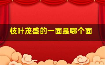 枝叶茂盛的一面是哪个面