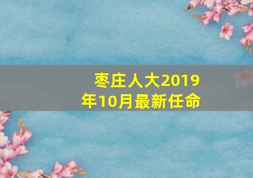 枣庄人大2019年10月最新任命