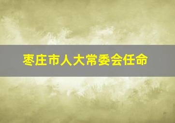 枣庄市人大常委会任命