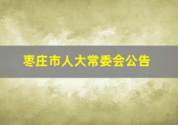 枣庄市人大常委会公告