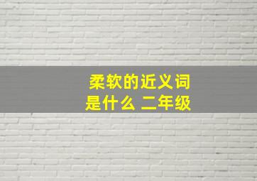 柔软的近义词是什么 二年级