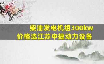 柴油发电机组300kw价格选江苏中捷动力设备