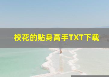 校花的贴身高手TXT下载