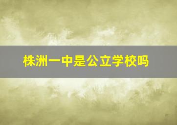 株洲一中是公立学校吗