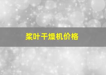 桨叶干燥机价格