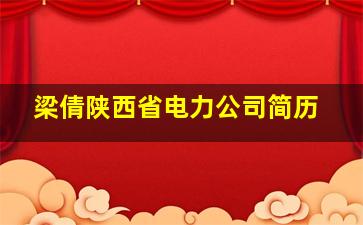 梁倩陕西省电力公司简历