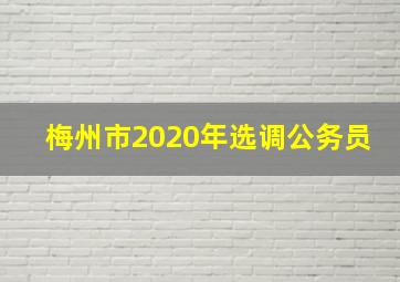 梅州市2020年选调公务员