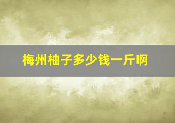 梅州柚子多少钱一斤啊